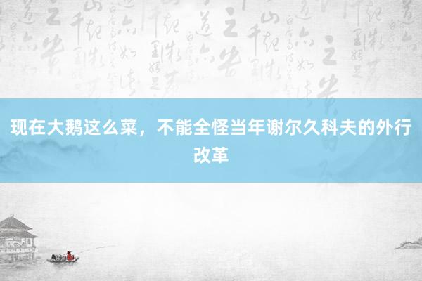 现在大鹅这么菜，不能全怪当年谢尔久科夫的外行改革