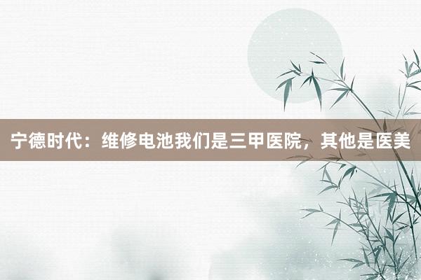 宁德时代：维修电池我们是三甲医院，其他是医美