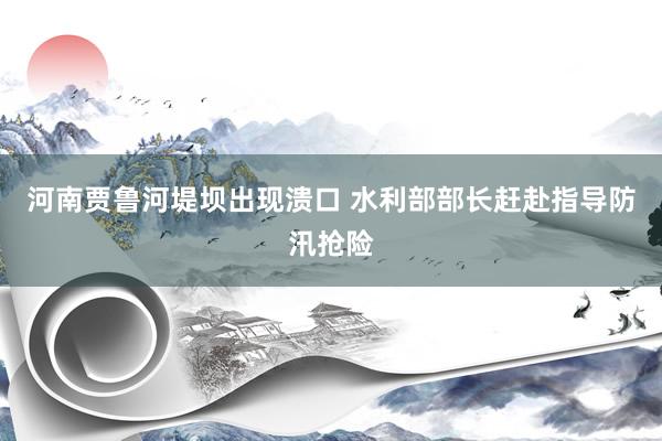 河南贾鲁河堤坝出现溃口 水利部部长赶赴指导防汛抢险