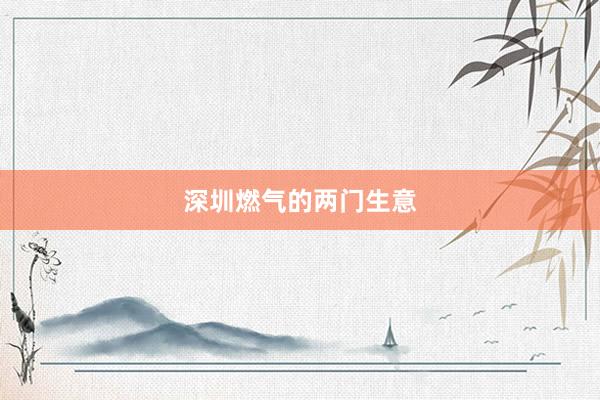 深圳燃气的两门生意