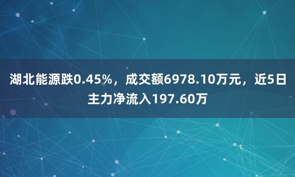 湖北能源跌0.45%，成交额6978.10万元，近5日主力净流入197.60万