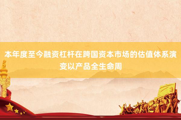 本年度至今融资杠杆在跨国资本市场的估值体系演变以产品全生命周