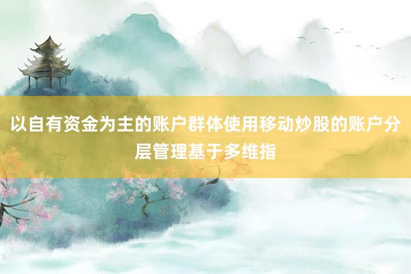 以自有资金为主的账户群体使用移动炒股的账户分层管理基于多维指
