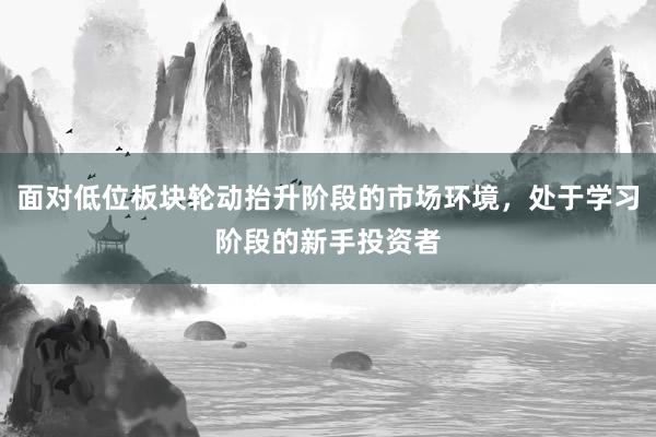 面对低位板块轮动抬升阶段的市场环境，处于学习阶段的新手投资者