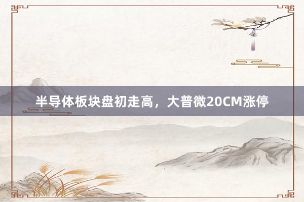 半导体板块盘初走高，大普微20CM涨停