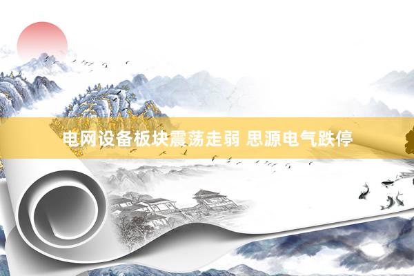 电网设备板块震荡走弱 思源电气跌停