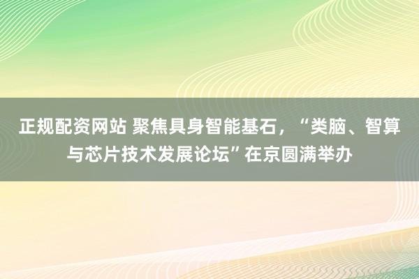 正规配资网站 聚焦具身智能基石，“类脑、智算与芯片技术发展论坛”在京圆满举办